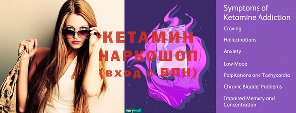 дмт Богданович
