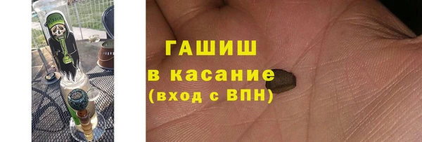 дмт Богданович