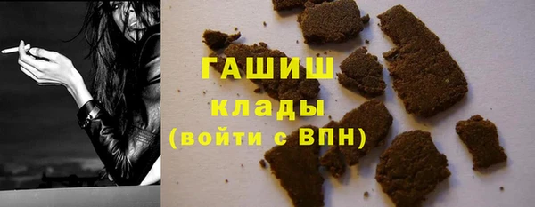 дмт Богданович