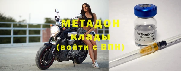дмт Богданович