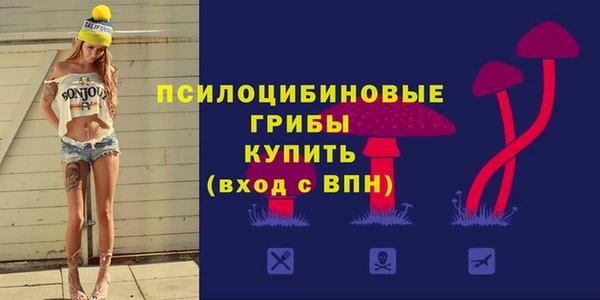 экстази Покачи