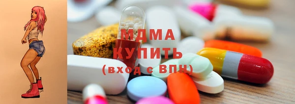 дмт Богданович