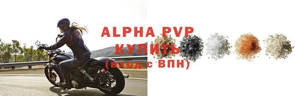 дмт Богданович