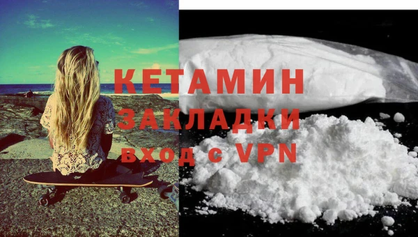 дмт Богданович