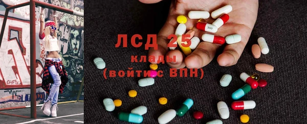 дмт Богданович