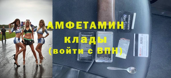 дмт Богданович