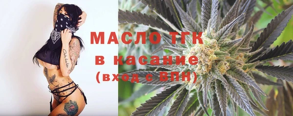 дмт Богданович