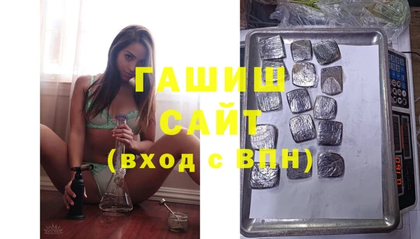 дмт Богданович