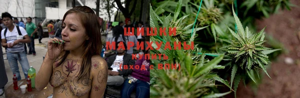 дмт Богданович